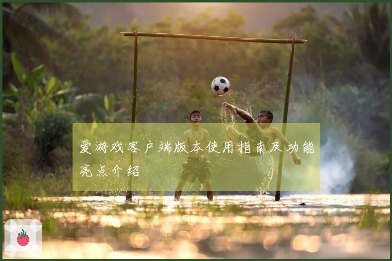 爱游戏客户端版本使用指南及功能亮点介绍